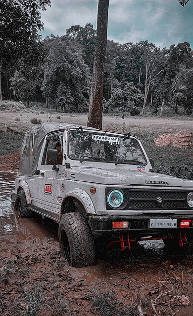 从最初的几 从最初的几