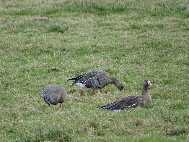 这对于那些 这对于那些