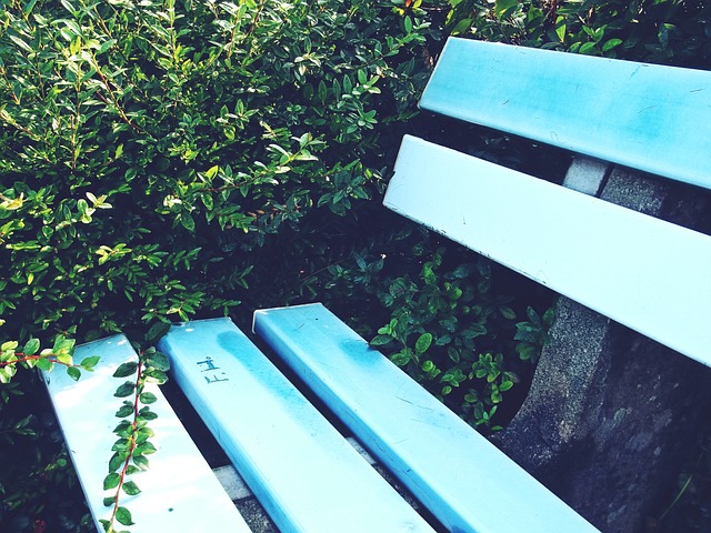 文化中国行｜你好！中国——2024年外国人“中国游”扫描.